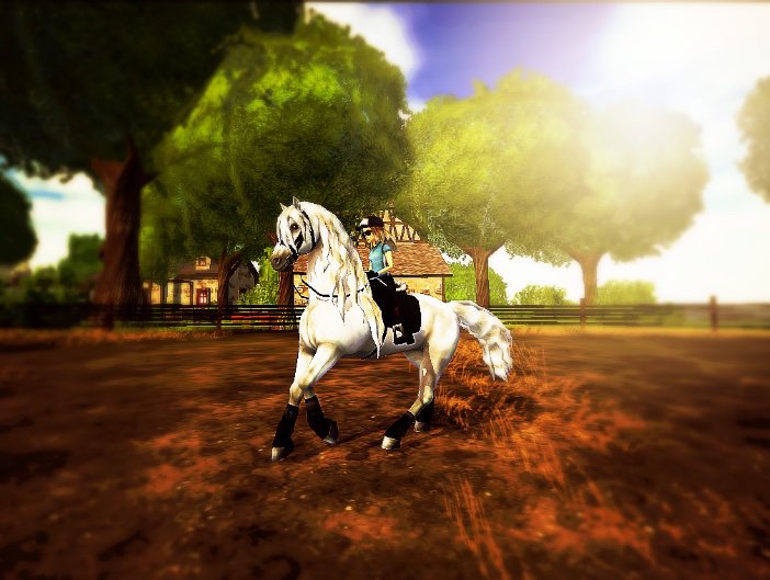 702x529 I Aint No Icon Yet Star Stable Online Amino