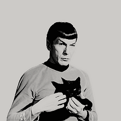250x250 Star Trek Twitter Icons Tumblr