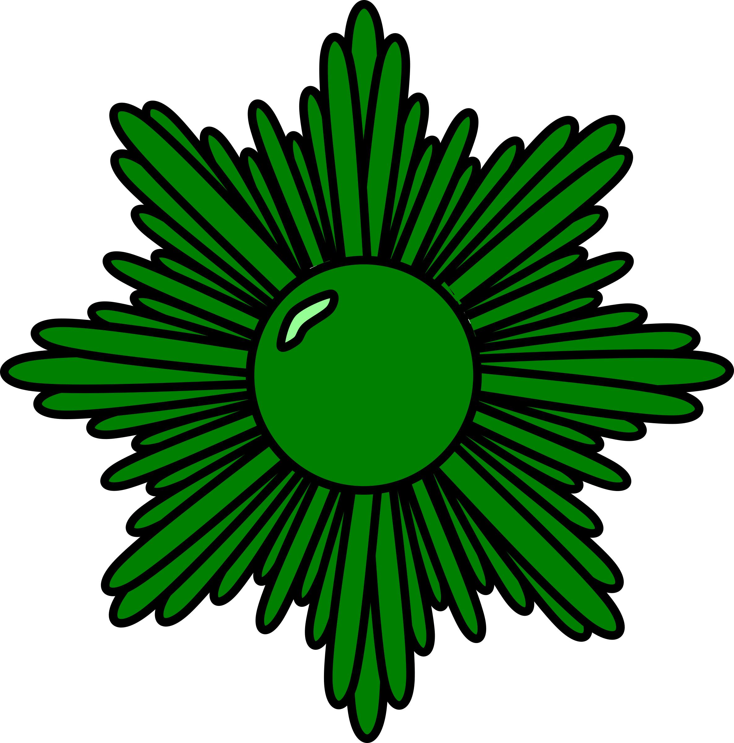 Green Starburst Icons Png 2372x2400 Green Starburst Icons Png