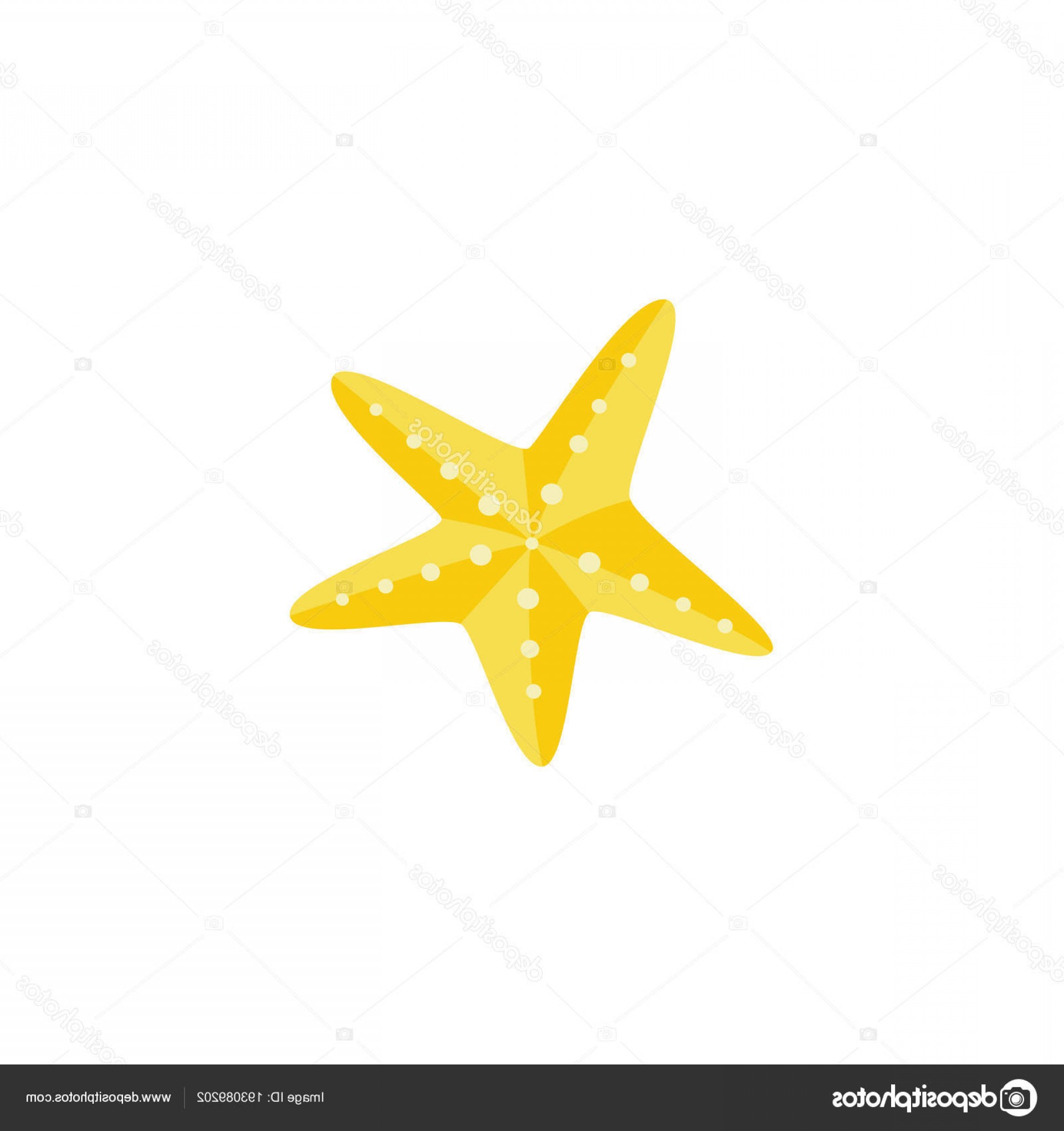 1920x2040 Starfish Cartoon Images Vector Createmepink
