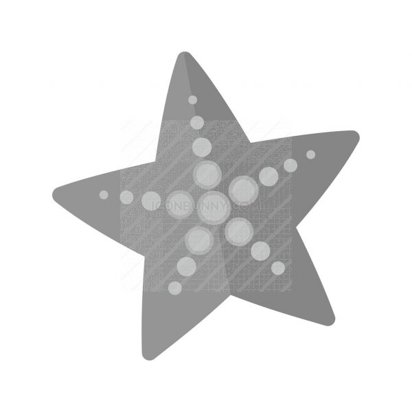 600x600 Starfish Greyscale Icon