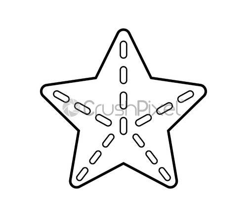 500x438 Starfish Icon, Stock Vector Crushpixel