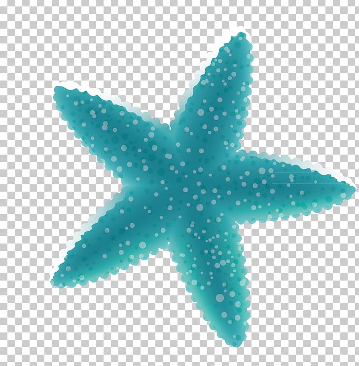 728x741 Starfish Icon Png, Clipart, Computer Graphics, Adobe