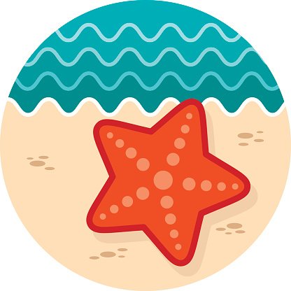 416x416 Starfish Vacation Premium Clipart