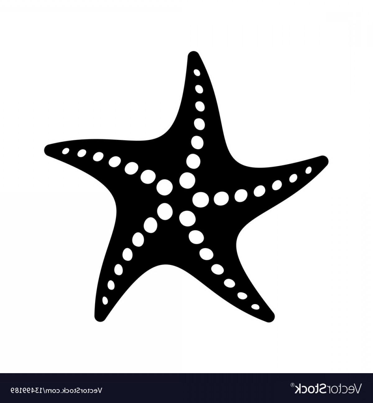 1200x1296 Starfish Vector Icons Catchsplace
