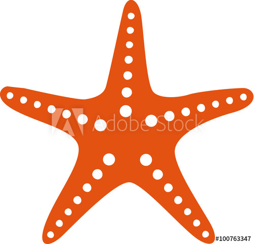 500x480 Starfish Icon
