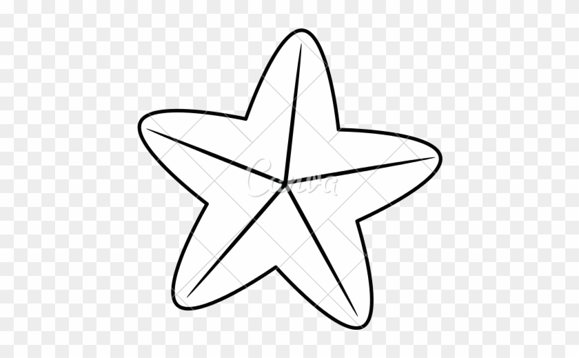 840x519 Sea Star Or Starfish Icon Image