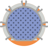 170x170 Stargate Png Icon