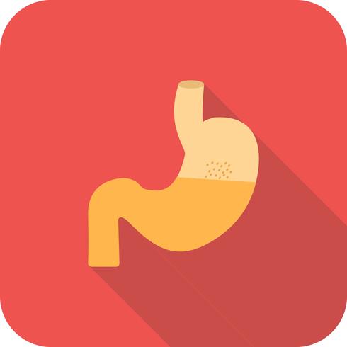 490x490 Stomach Flat Long Shadow Icon Vector