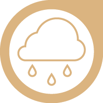 208x208 Agriculture Icon Wheatbelt