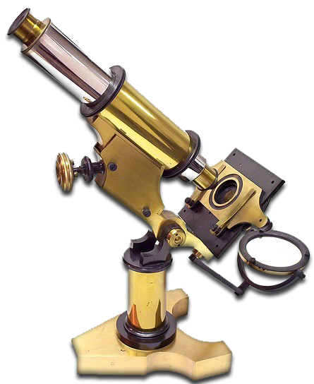 Steampunk Microscope Search Icon For The Boys Search Icon 445x544 Steampunk Microscope Search Icon For The Boys Search Icon