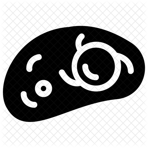 512x512 Stem Cells Icon Of Glyph Style