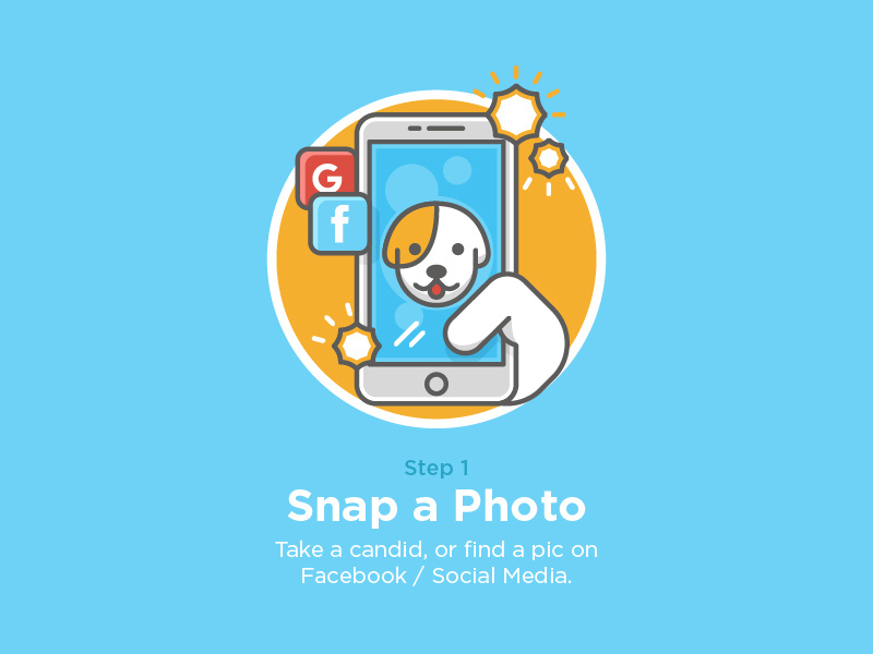 800x600 Pet Socks Website Icon