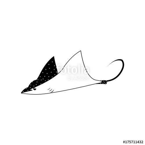 Stingray Icon Stock Image And Royalty Free Vector 500x500 Stingray Icon Stock Image And Royalty Free Vector