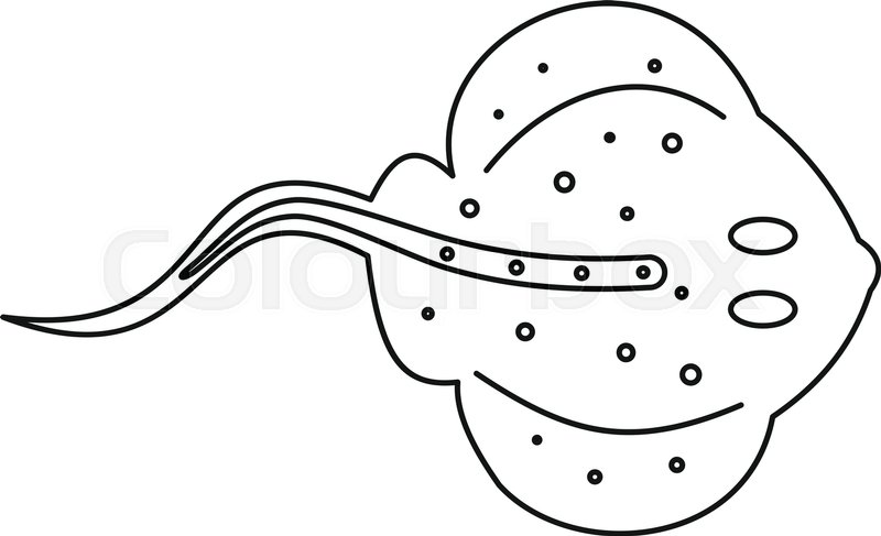 Stingray Icon Outline Illustration Of Stock Vector Colourbox 800x487 Stingray Icon Outline Illustration Of Stock Vector Colourbox