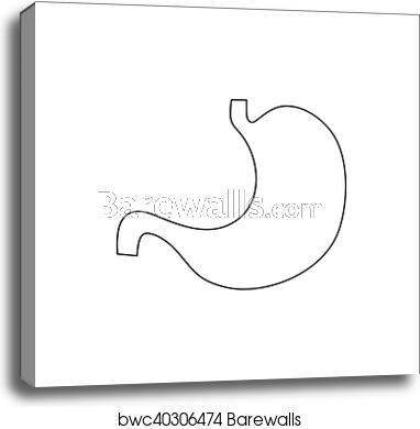 382x390 Human Stomach Icon, Outline Style, Canvas Print Barewalls