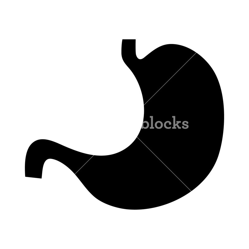1000x1000 Human Stomach Icon In Simple Style On A White Background Royalty