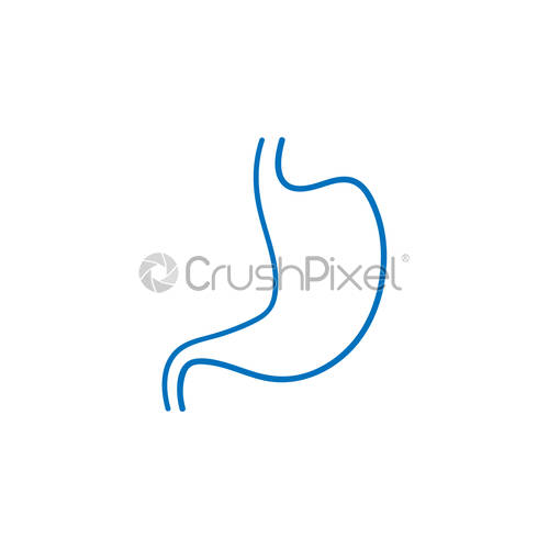 500x500 Stomach Icon Design Template Vector Isolated, Stock Vector