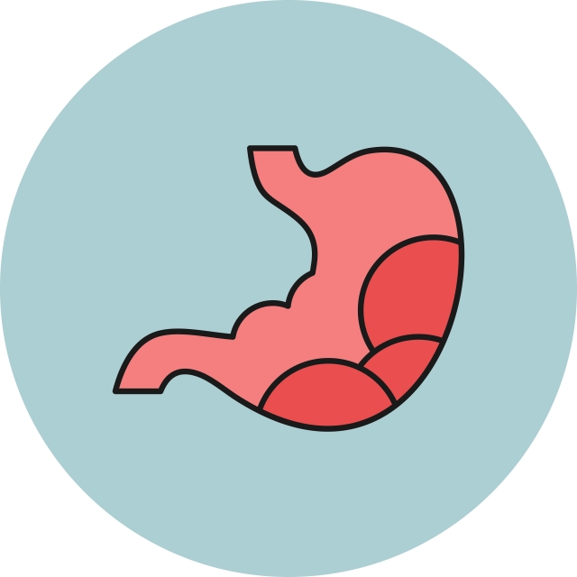 640x640 Stomach Icon For Your Project, Stomach, Digestion