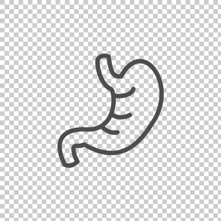 715x715 Stomach Icon Png Image Free Download