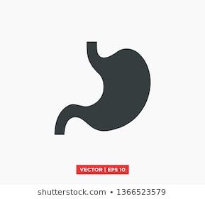 289x280 Stomach Icon Vector Illustration