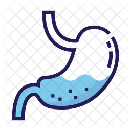 256x256 Stomach Icon Of Colored Outline Style