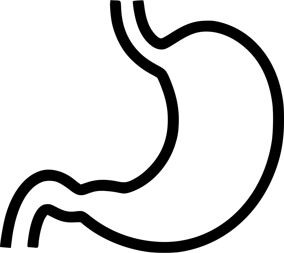 980x872 Stomach Png Icon Free Download
