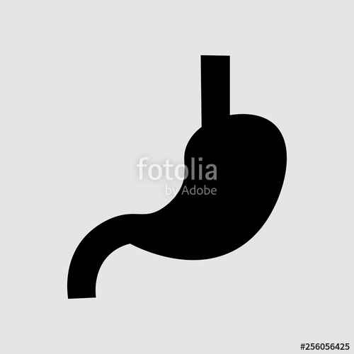 500x500 Stomach Icon Human Internal Organs Symbol Digestive System