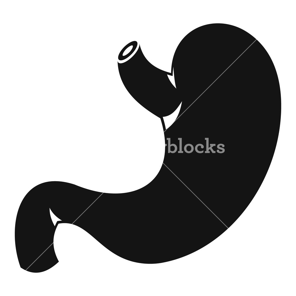 1000x1000 Stomach Icon Simple Illustration Of Stomach Vector Icon For Web