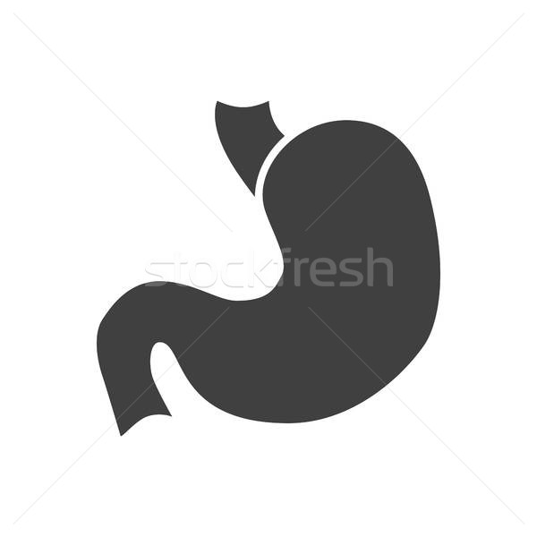 600x600 Stomach Icon Vector Illustration Oleksii Afanasiev