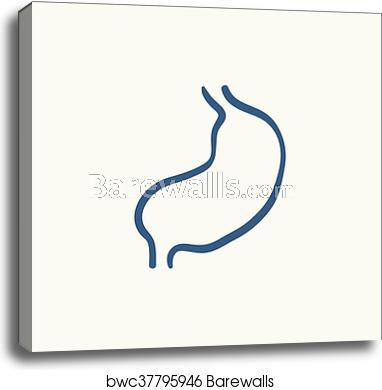 382x390 Stomach Sketch Icon, Canvas Print Barewalls Posters Prints