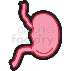 300x300 Human Stomach Icon Clipart Royalty Free Gif, Png