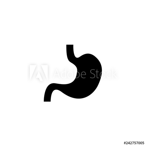 500x500 Stomach Icon Vector Stomach Vector Graphic Illustration