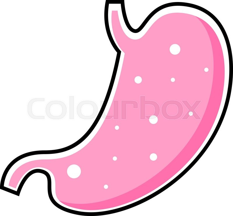 800x740 Flat Vector Human Stomach Icon Stock Vector Colourbox