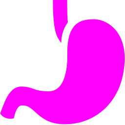 256x256 Free Fuchsia Stomach Icon