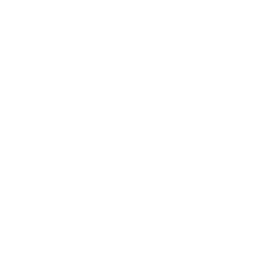256x256 Free White Stomach Icon
