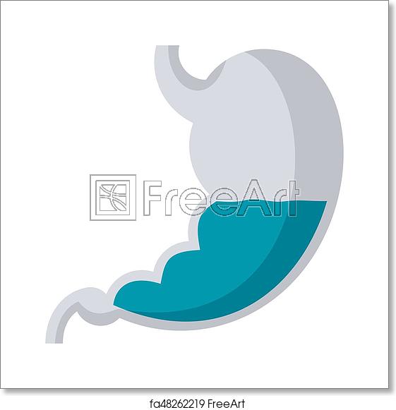 561x581 Free Art Print Of Stomach Vector Icon Gastroenterology Concept