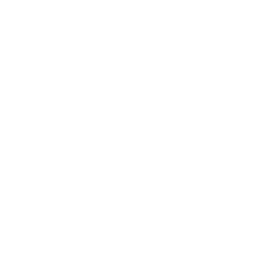 256x256 White Flying Stork Icon