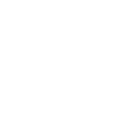 256x256 Free White Stormtrooper Icon