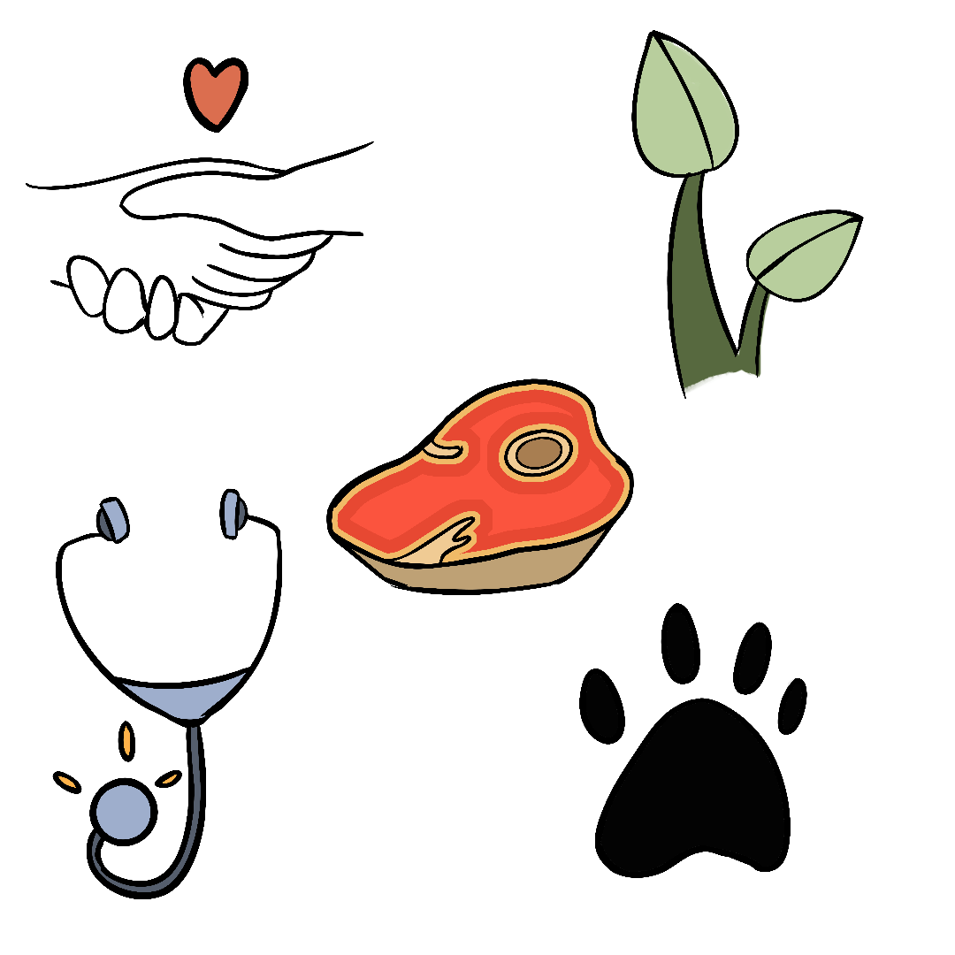 1080x1080 Stelladia Visual Storytelling Icon Design