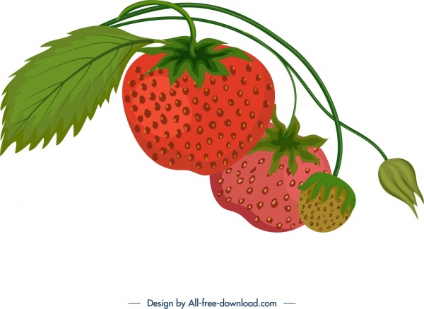 600x437 Fresh Ripe Strawberry Icon Colorful Classical Design Free Vector