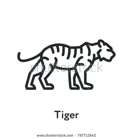 450x470 Coloring Tiger Wild Tiger Standing Minimal Flat Line Outline