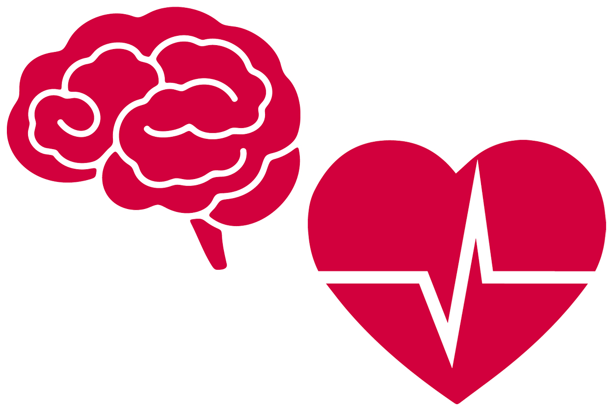 1255x844 Stroke Icon