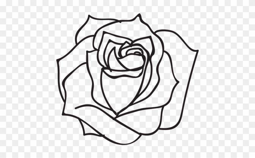 840x519 Blooming Rose Stroke Icon Flower