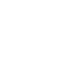 256x256 White Stroller Icon