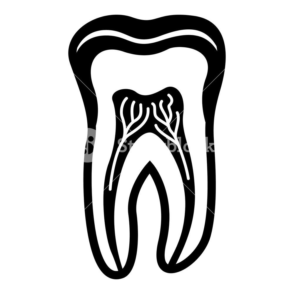 1000x1000 Tooth Structure Icon Simple Illustration Of Tooth Structure