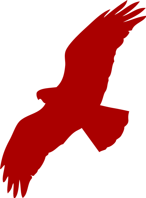 500x679 Colors And Icons