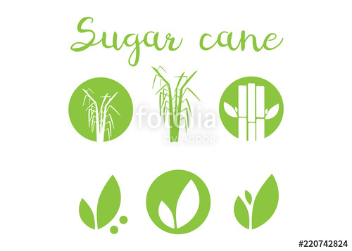 500x357 Sugar Cane Silhouettes Icons Sugar Cane Vector Illustration