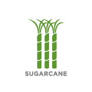180x180 Sugarcane