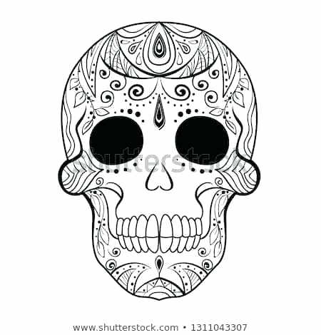 Skull Coloring 450x470 Skull Coloring